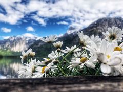 -布劳伽斯特豪夫哈尔施塔特宾馆