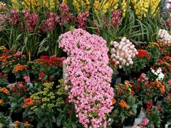 -南通洲际绿博园