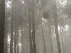 android_upload_pic-摩围山景区