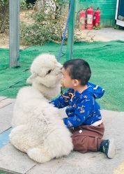 -萌宠亲子动物乐园(槐房万达店)