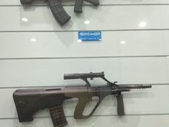 -中国北方国际射击场