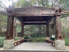 -上海吴淞炮台湾国家湿地公园