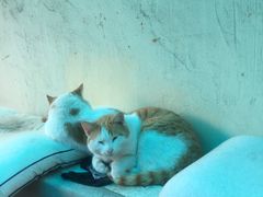 -上影国际影城(普陀绿地缤纷城店)