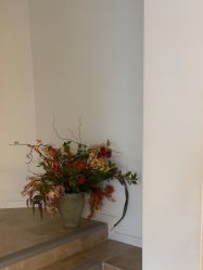 -WAVE SODA摄影工作室