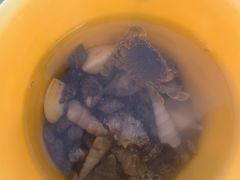 -那琴半岛地质海洋公园