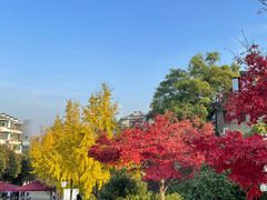 -岳麓山风景名胜区