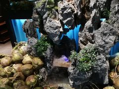 -东椰·海南椰子鸡火锅(朝阳门店)