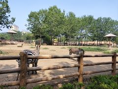 -大连森林动物园