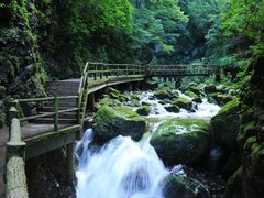-牛背梁国家森林公园