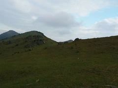 -大姆山草场
