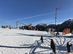 -丝绸之路山地度假区滑雪场