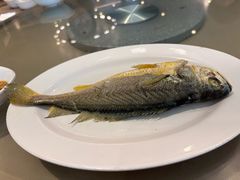 潮汕鱼饭-庄氏祥记家常食府(国瑞建材家居博览中心店)