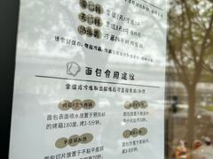 -面包日报