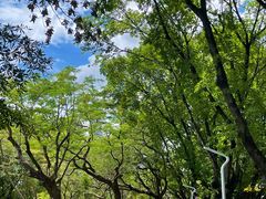 -人民公园(罗湖区)