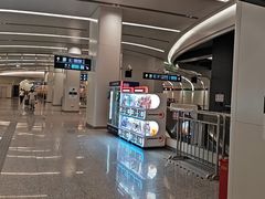 -望京西(地铁站)