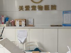 -关爱宠物医院·猫科中心·消化科(滨湖万达分院)