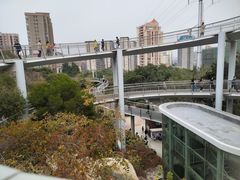 -仙岳公园