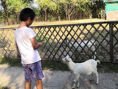 -长兴太湖图影湿地文化园