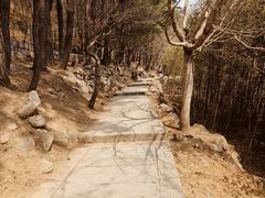 -崂山巨峰游览区