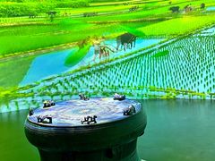 -广西民族博物馆