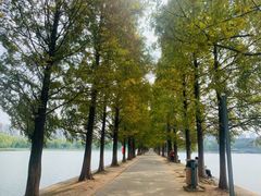 -食膳公园包子铺(烈士公园店)