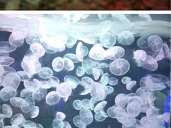 -多彩贵州城极地海洋世界