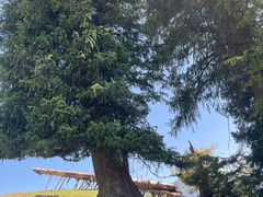 -新疆那拉提国家旅游度假区