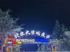 -大学城夜市