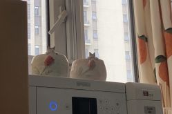 -爱上泥创意DIY手工陶艺(昙华林店)