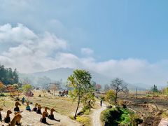 -塔川景区