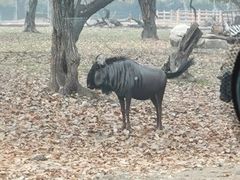 -西安秦岭野生动物园