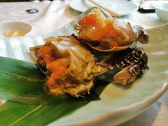 -渔娘渔家丹东海鲜(东直门店)