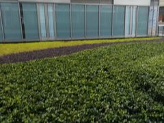 -中海环宇荟