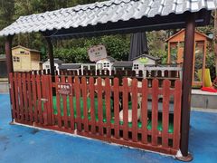 -上海崇明金茂凯悦酒店