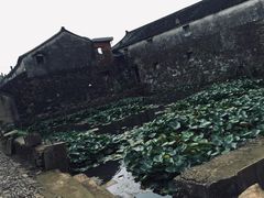 -许家山