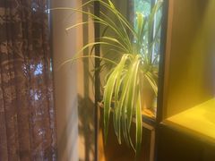 -意卡菲·欢乐聚会餐厅(华侨店)