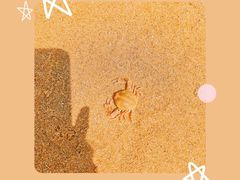 -蓬莱阁景区