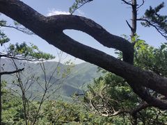 -洛阳白云山景区