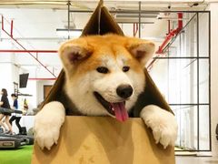 -YCHL Studios健身工作室(市二宫店)