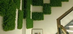 -MY WAY SALON