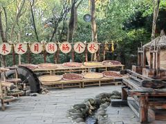 -天目湖山水园