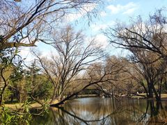 -上海共青森林公园