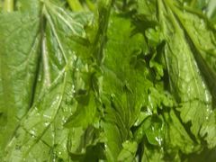 -亮欢寨(凯里总店)