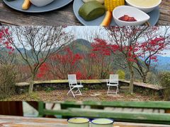 -宁波余姚老柿林山居度假村