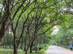 -长春市南湖公园