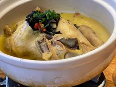 招牌岩耳神仙鸡-印象鲵宴·张家界地标美食名片(溪布街店)