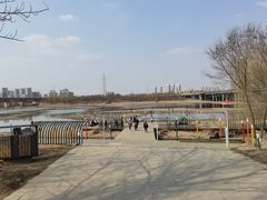 -长白岛森林公园