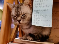 -隅cafe(傅厚岗店)