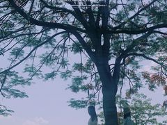 -中国科学院西双版纳热带植物园