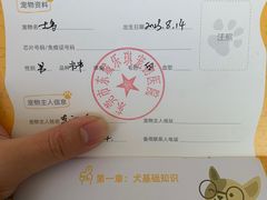 -乐琪宠物医院·犬猫专科·骨外科·急重症